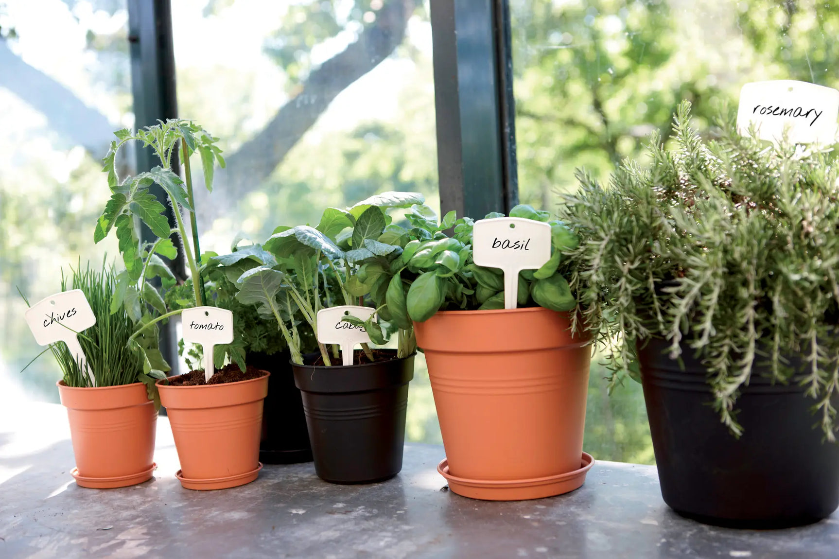 Elho - gb growpot 40cm living black