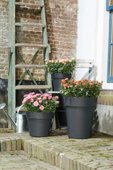 Elho - green basics top planter 23cm living black
