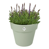 Elho - green basics top planter 40cm steengroen