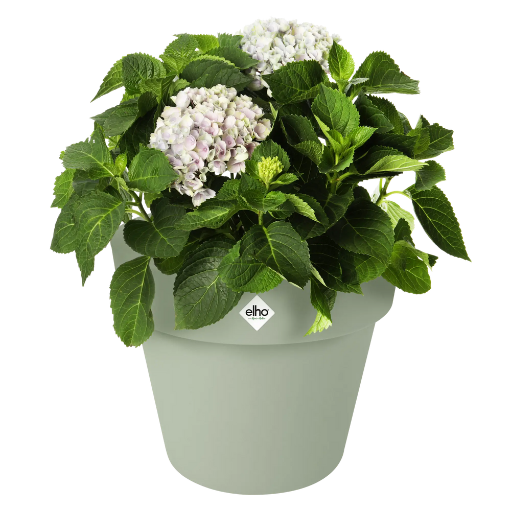 Elho - green basics top planter 23cm steengroen