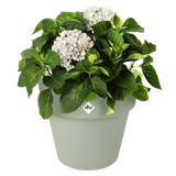Elho - green basics top planter 23cm steengroen