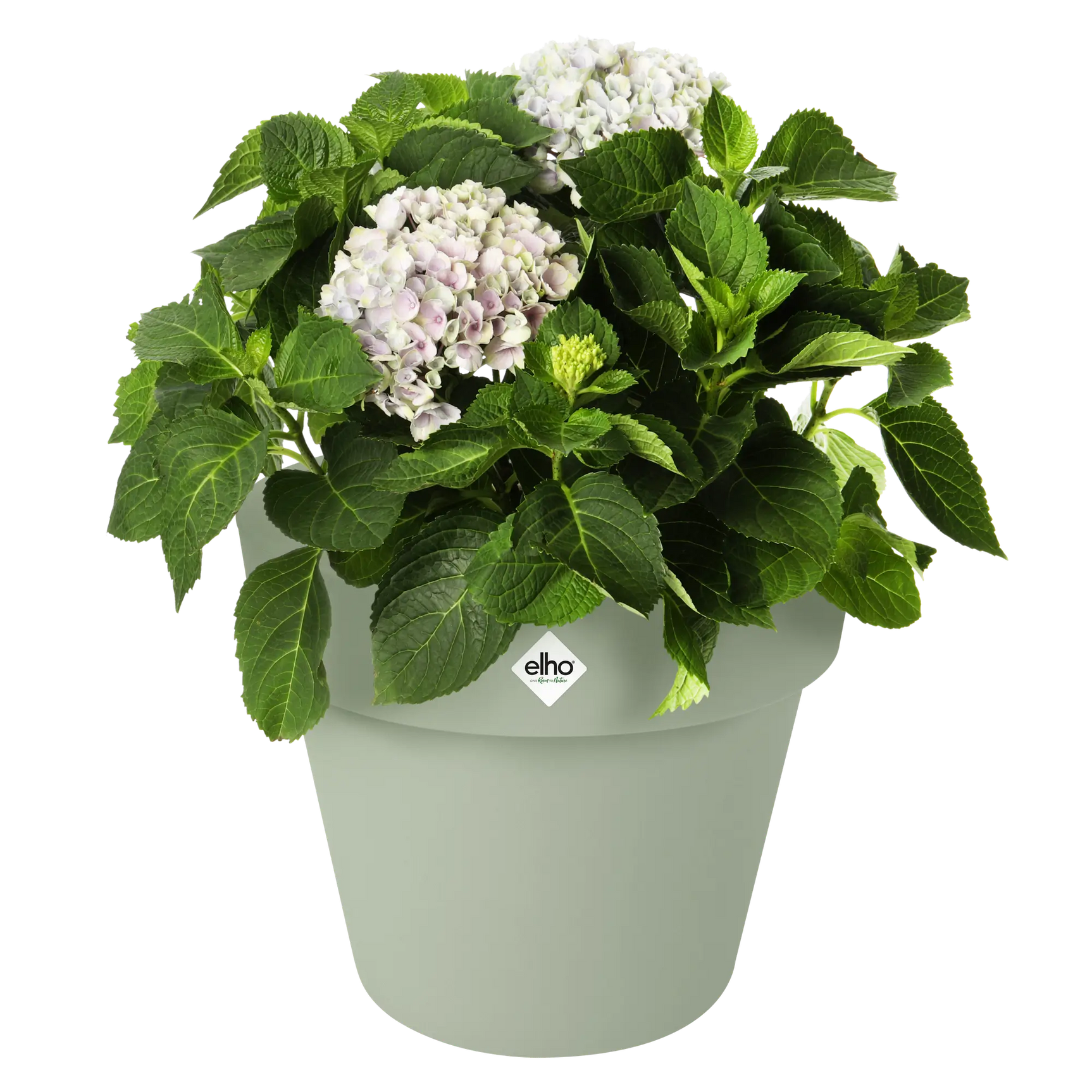 Elho - green basics top planter 23cm steengroen