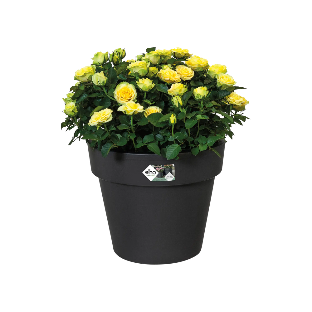 Elho - green basics top planter 30cm living black