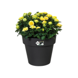 Elho - green basics top planter 23cm living black
