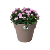 Elho - green basics top planter 23cm taupe