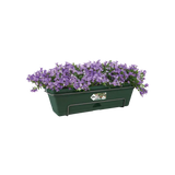 Groene balkonbak met lila bloemen, zicht op voorzijde en beugel