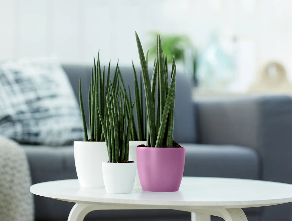 Elho - brussels rond mini 10,5cm vivid violet