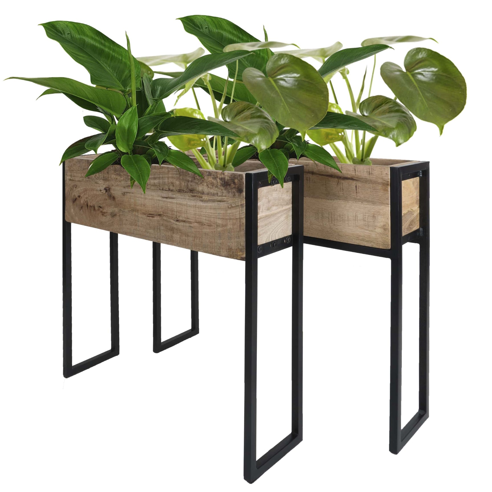 Plantenbak Faab - Set van 2
