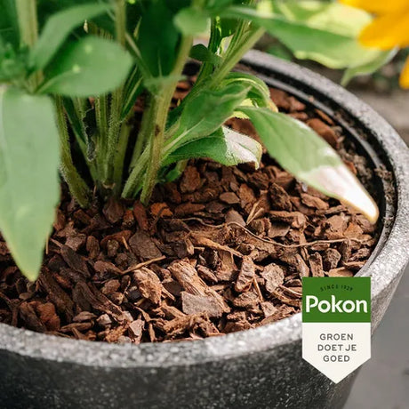 Pokon - Boomschors Excelent 10L