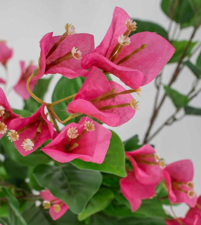 Kunstplant bougainvillea 80cm