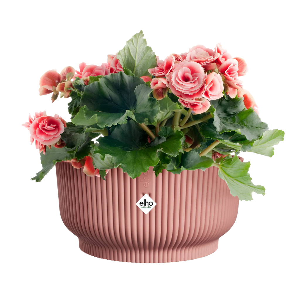 Elho vibes opvouwkom 25 in delicate roze met roze bloemen en groene bladeren