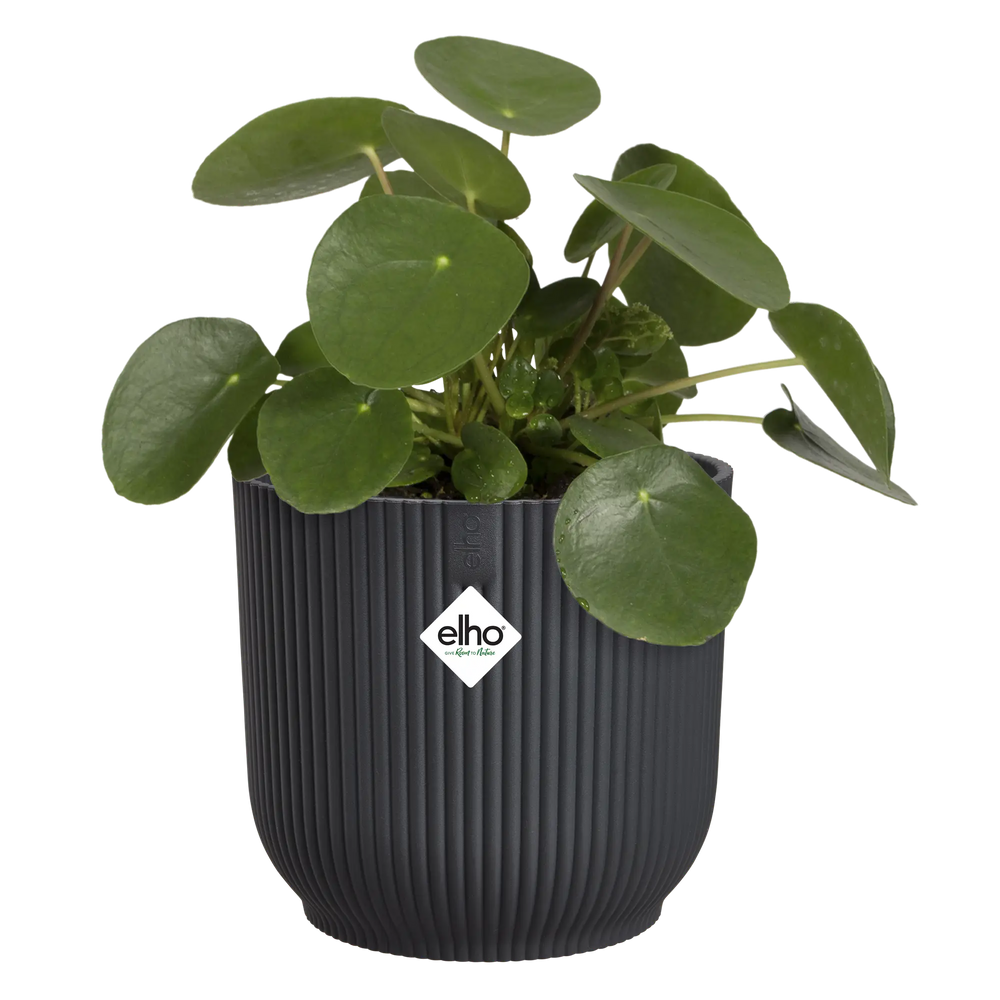 Elho ronde bloempot antraciet met groene plant en Elho-logo op de zijkant