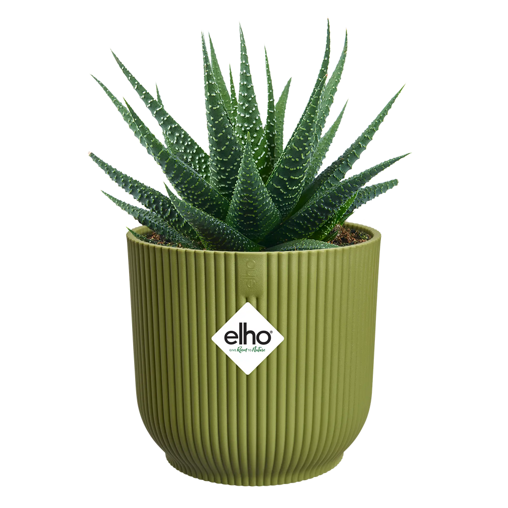 Elho - vibes fold rond mini 11cm varengroen