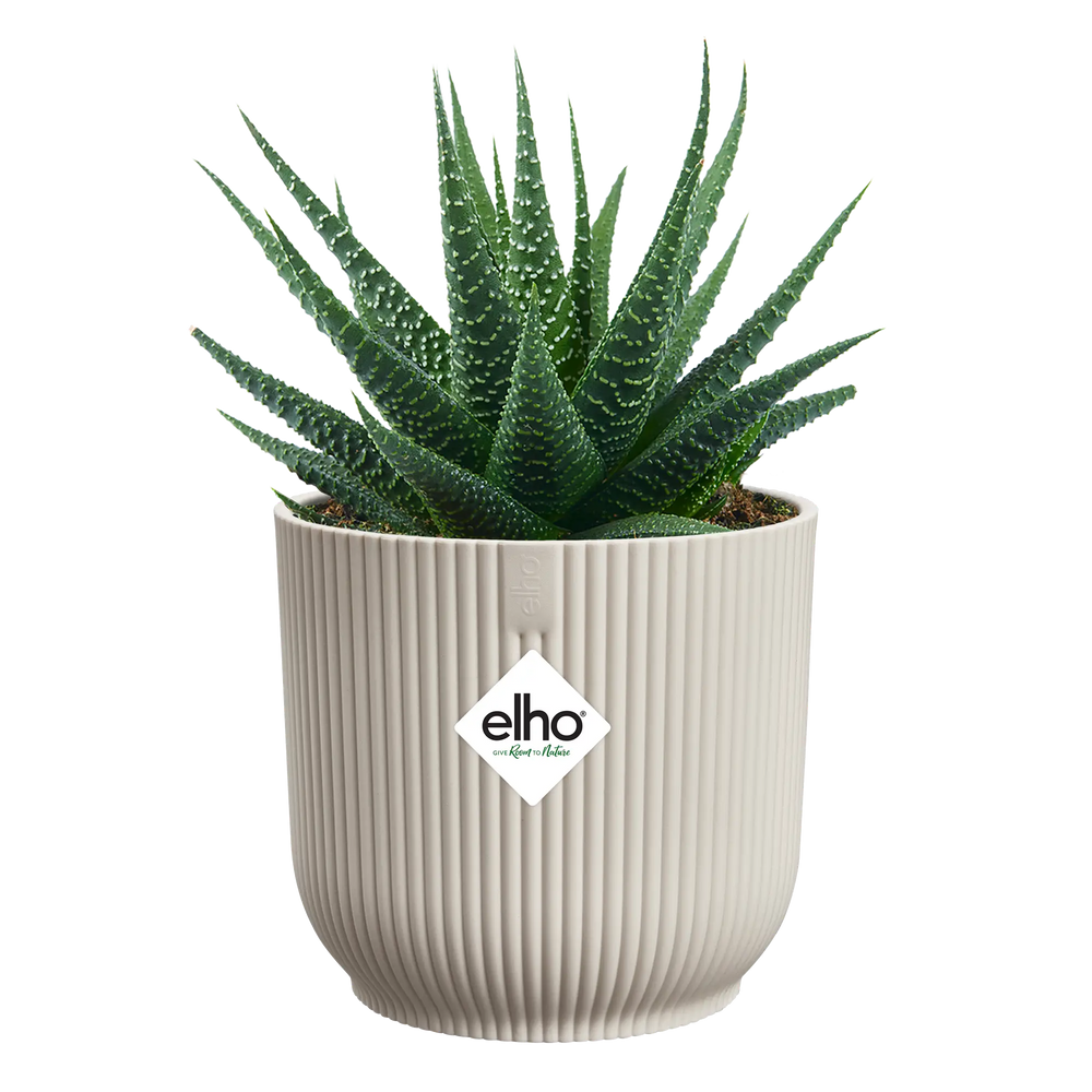 Witte Elho ronde plantenpot met groene vetplant en elho-logo
