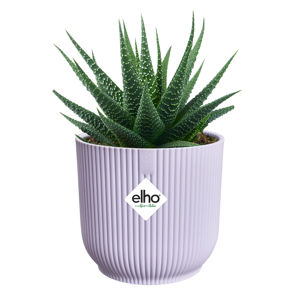 Elho Vibes fold rond mini plantenpot, zacht lila, met vetplant