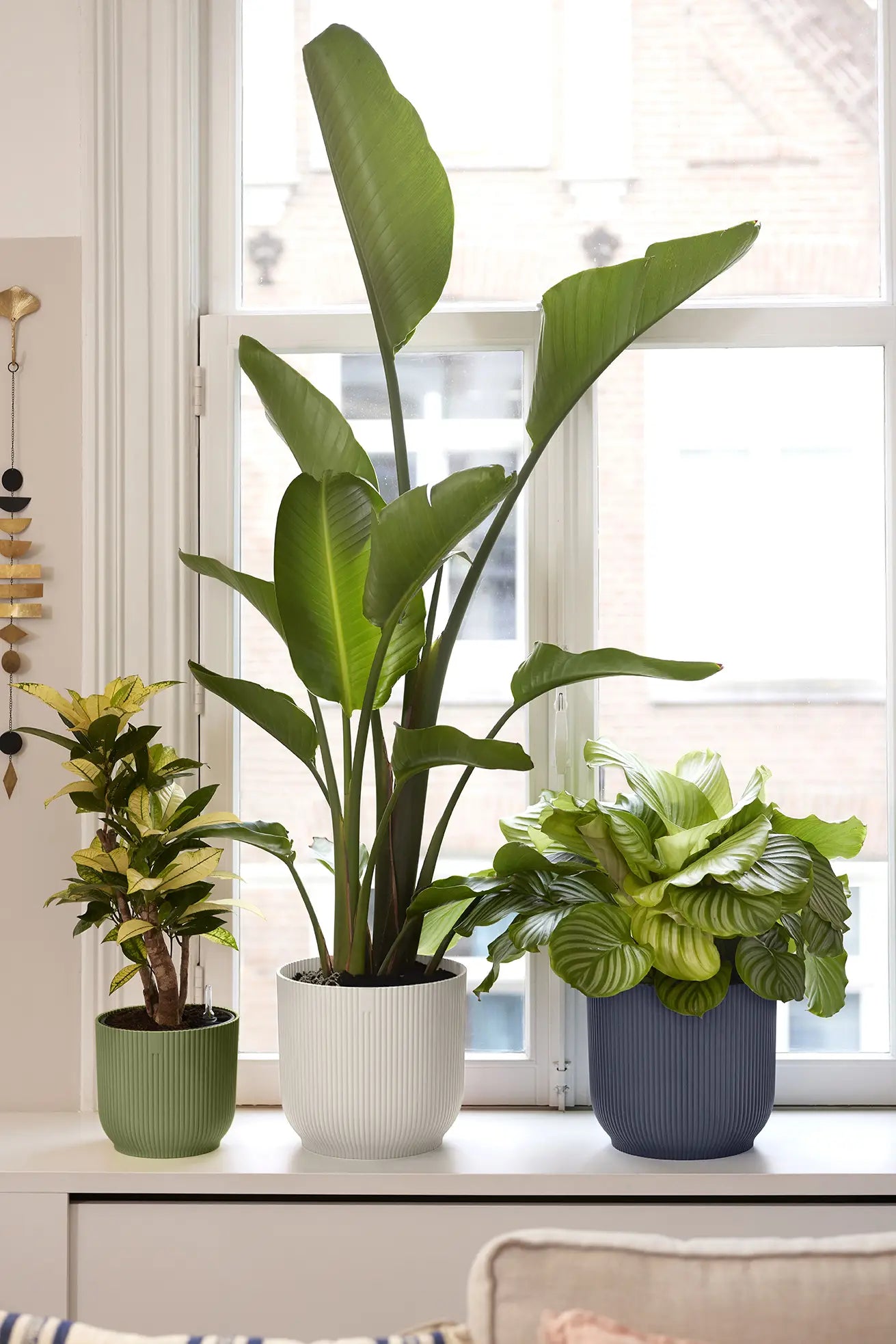 Elho - vibes fold rond 16cm varengroen